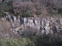 cantara piccole gole19022012 064